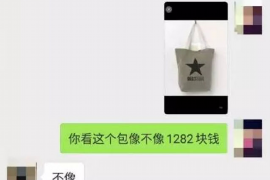 荆门为什么选择专业追讨公司来处理您的债务纠纷？